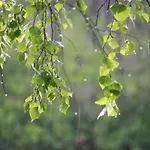 Saimaa Experience