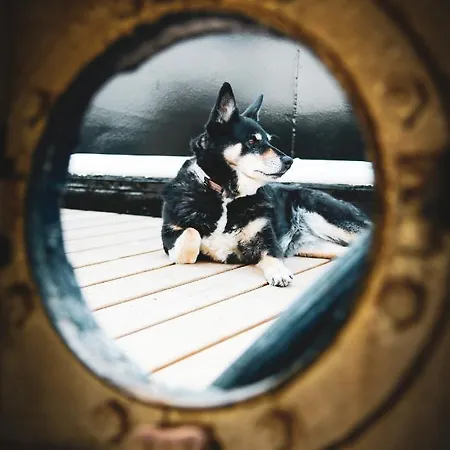 Saimaa Experience Tekne *