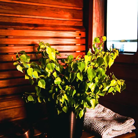 Saimaa Experience Båthotell Nyslott