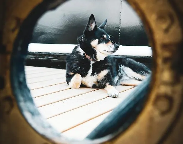 Saimaa Experience Båthotell *