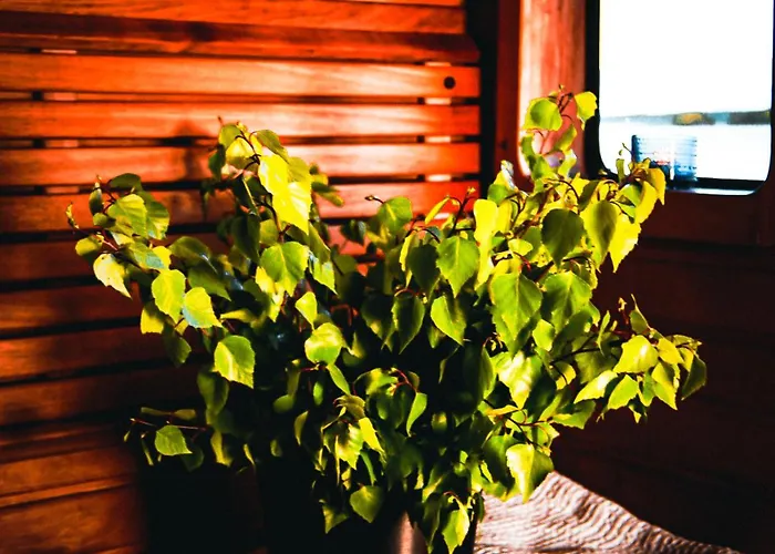 Saimaa Experience Båthotell Nyslott